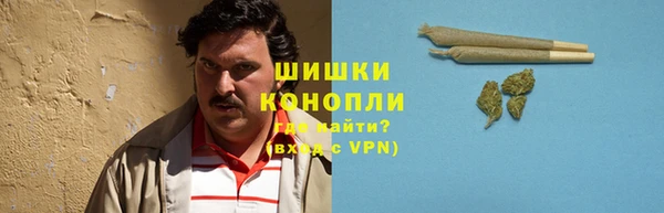 бошки Сатка