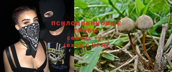 гашиш Дегтярск
