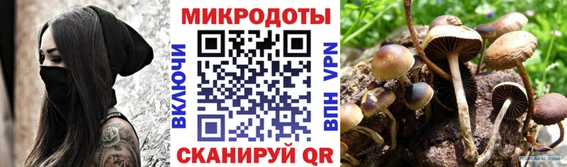 Псилоцибиновые грибы GOLDEN TEACHER  Купить где  Ковылкино 